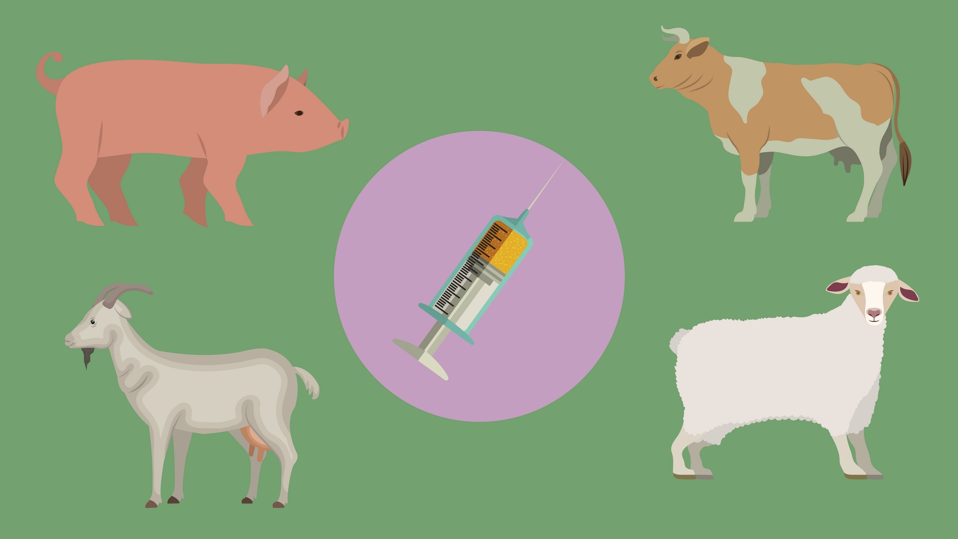Towards a faster vaccine production process for foot and mouth disease